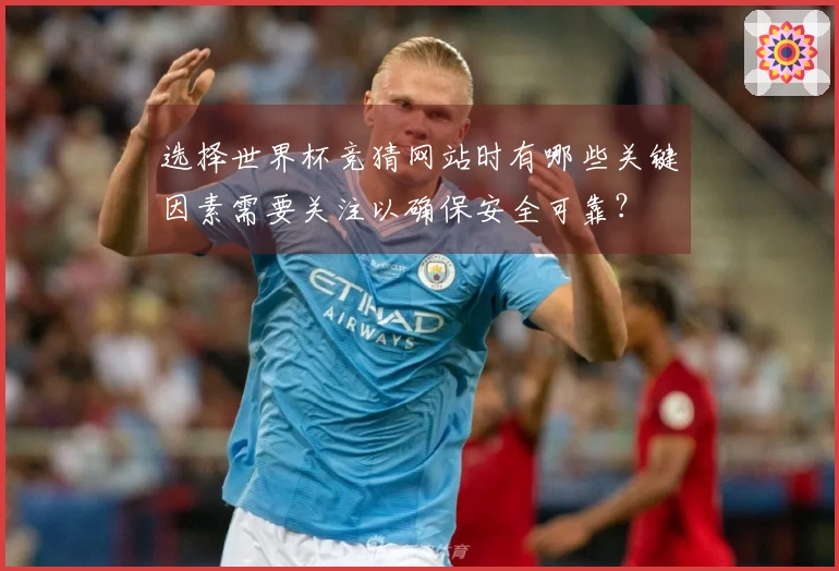 选择世界杯竞猜网站时有哪些关键因素需要关注以确保安全可靠？