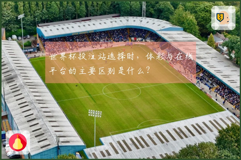 世界杯投注站选择时，体彩与在线平台的主要区别是什么？