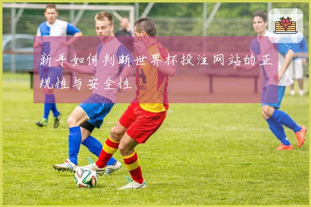 新手如何判断世界杯投注网站的正规性与安全性