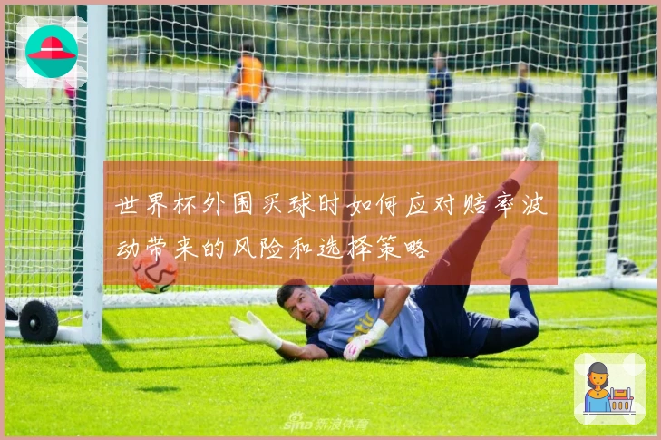 世界杯外围买球时如何应对赔率波动带来的风险和选择策略