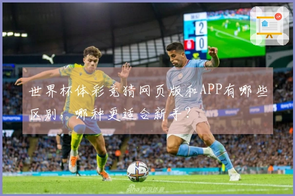 世界杯体彩竞猜网页版和APP有哪些区别，哪种更适合新手？