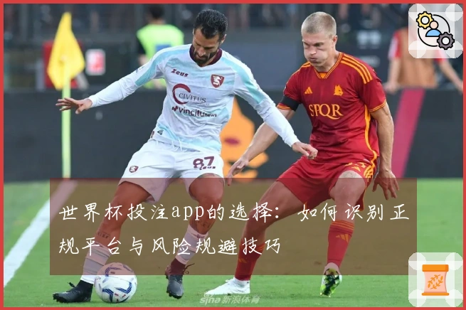 世界杯投注app的选择：如何识别正规平台与风险规避技巧