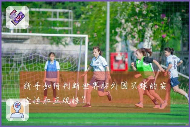 新手如何判断世界杯外围买球的安全性和正规性？