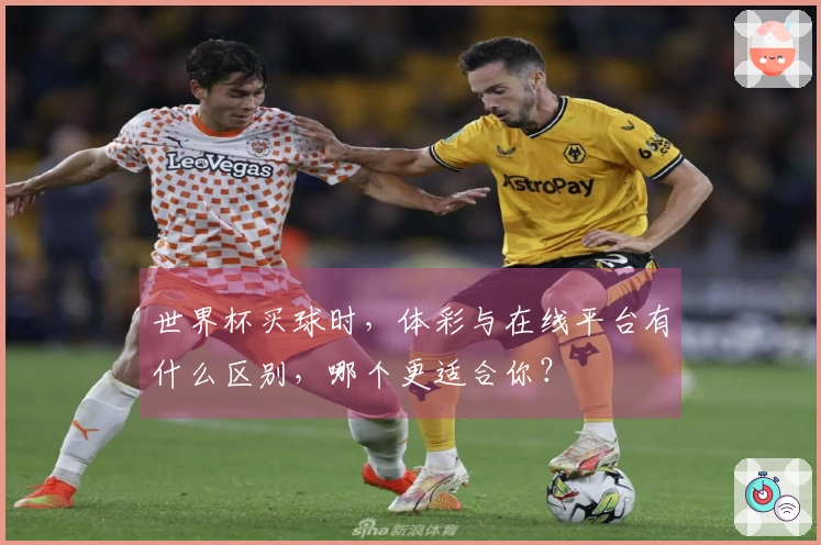 世界杯买球时，体彩与在线平台有什么区别，哪个更适合你？