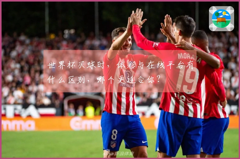 世界杯买球时，体彩与在线平台有什么区别，哪个更适合你？