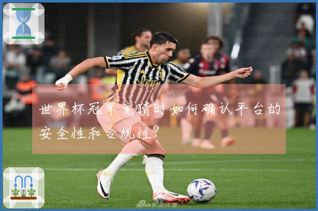 世界杯冠军竞猜时如何确认平台的安全性和合规性？