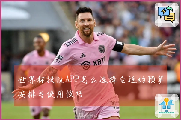 世界杯投注APP怎么选择合适的预算安排与使用技巧