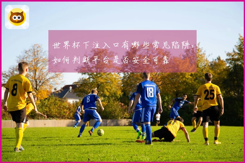 世界杯下注入口有哪些常见陷阱，如何判断平台是否安全可靠