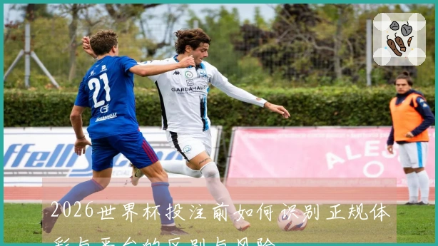2026世界杯投注前如何识别正规体彩与平台的区别与风险