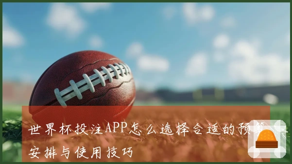 世界杯投注APP怎么选择合适的预算安排与使用技巧