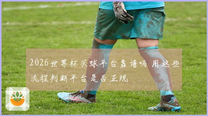 2026世界杯买球平台靠谱吗 用这些流程判断平台是否正规
