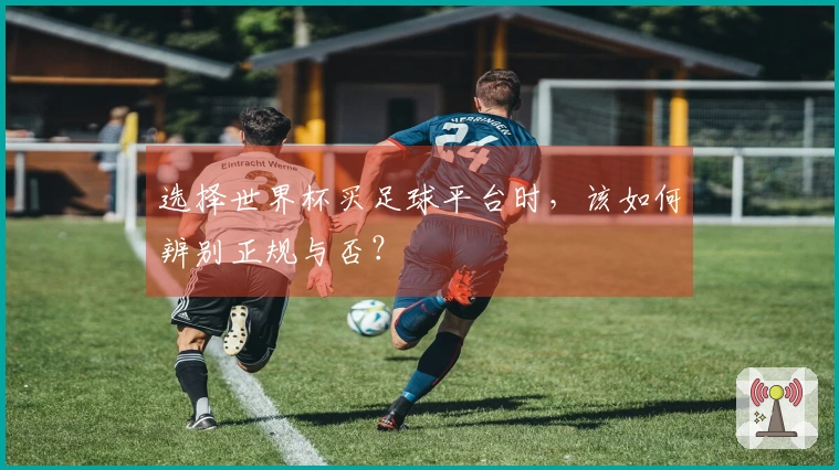 选择世界杯买足球平台时，该如何辨别正规与否？