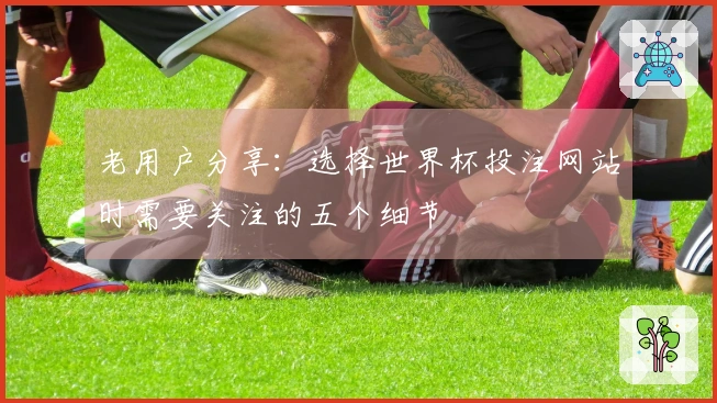 老用户分享：选择世界杯投注网站时需要关注的五个细节