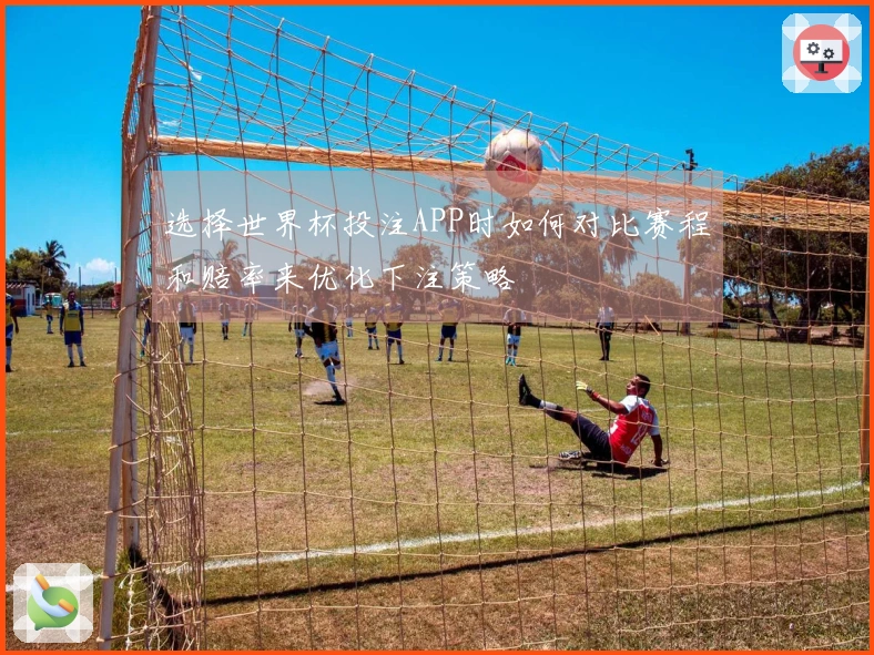 选择世界杯投注APP时如何对比赛程和赔率来优化下注策略