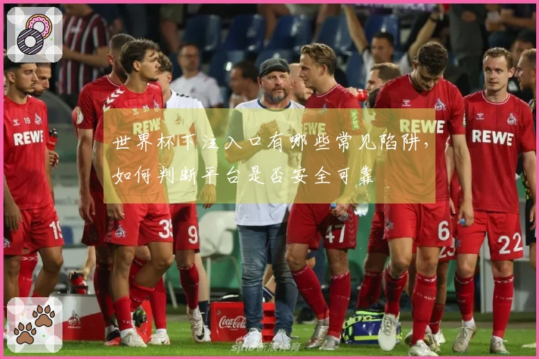 世界杯下注入口有哪些常见陷阱，如何判断平台是否安全可靠