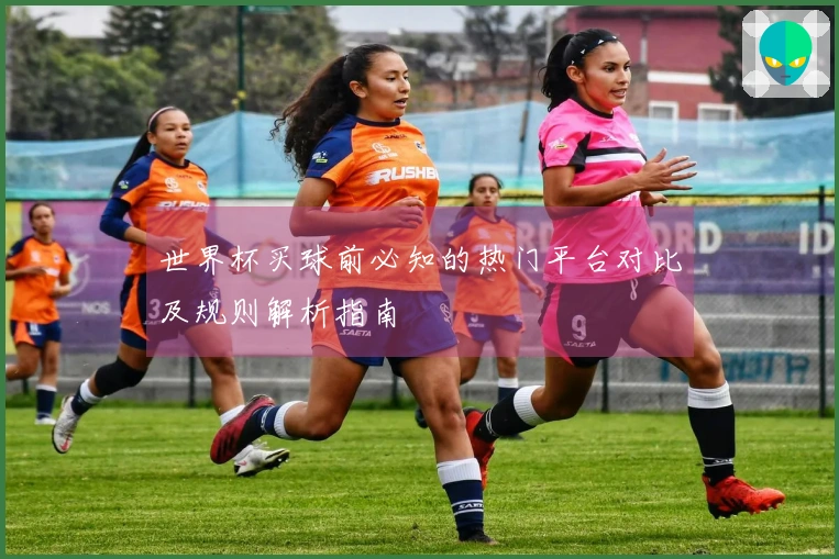 世界杯买球前必知的热门平台对比及规则解析指南