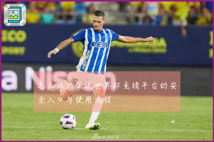 怎么识别正规世界杯竞猜平台的安全入口与使用流程