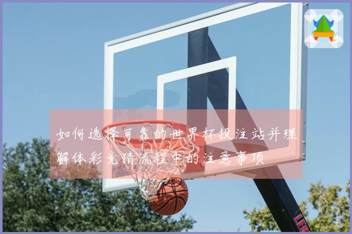 如何选择可靠的世界杯投注站并理解体彩竞猜流程中的注意事项